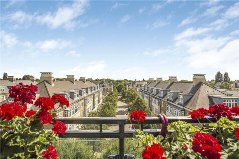 Roof Terrace View