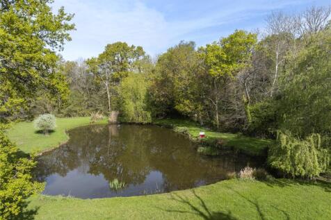 Pond