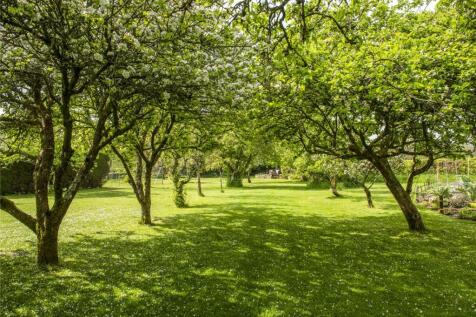 Orchard