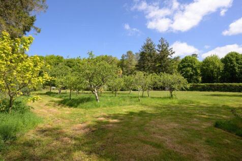 Larchwood