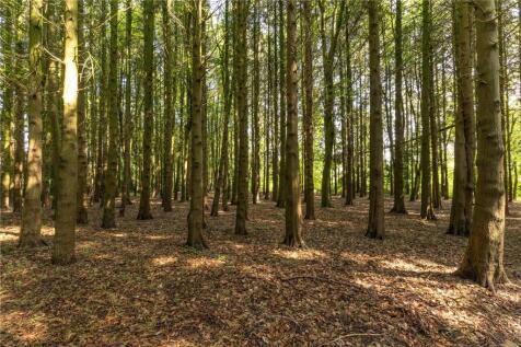 Woodland