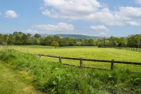 Rolling Pasture