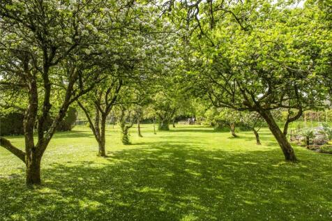 Orchard
