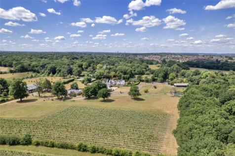 Vineyard
