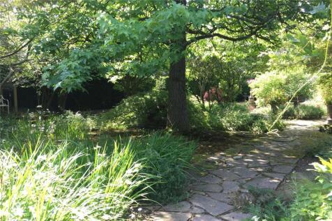 Water Garden