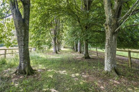 Grounds