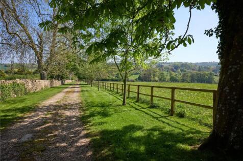 Rear Driveway