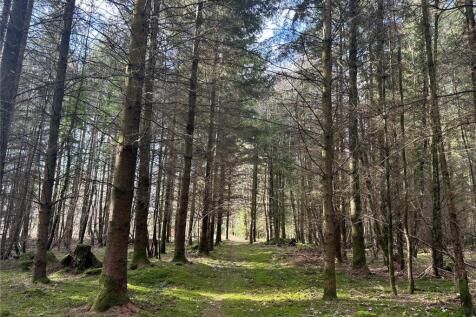 Woodland Walks
