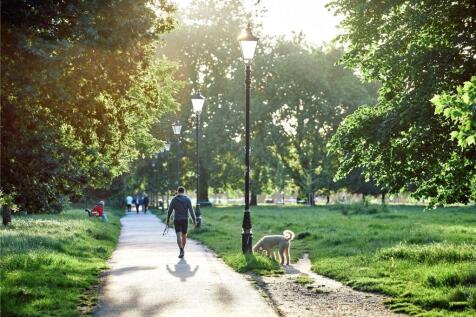 Local Area Photograp