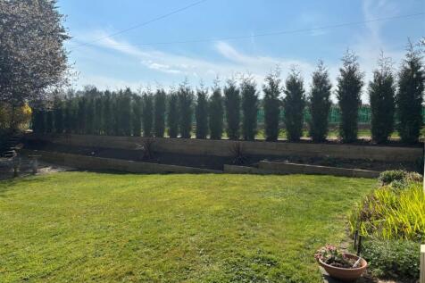 Garden 3.jpg
