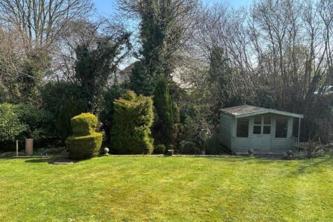 Garden 5.jpg