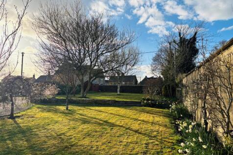 Garden 3.jpg
