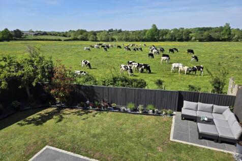 Garden3.JPG