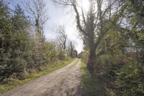 Access Road 1.jpg