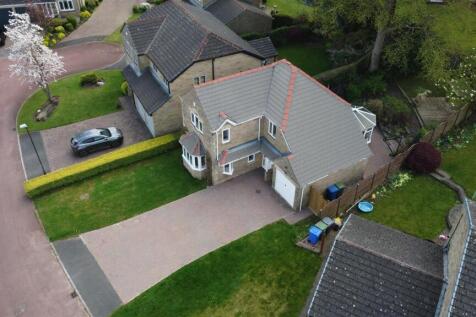 DJI_0082.JPG