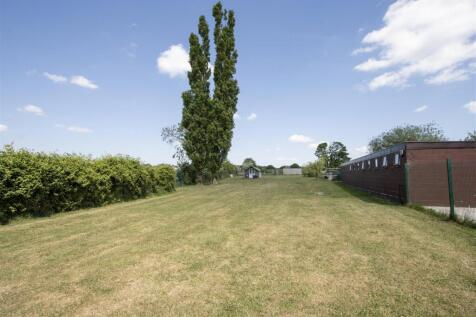 Garden 4