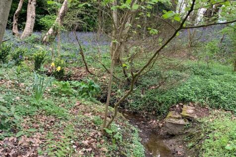 Garden Stream/Woodland