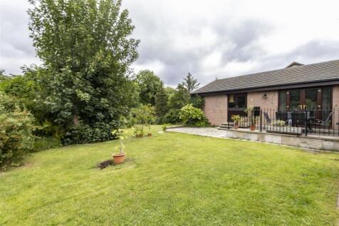 Rear Garden 2