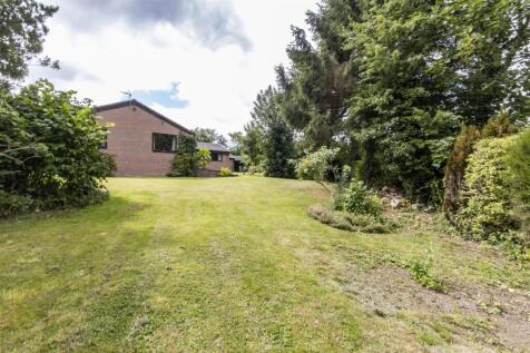 Rear Garden 4