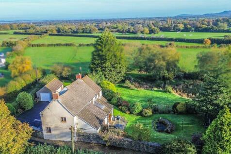 DJI_0560-2.jpg
