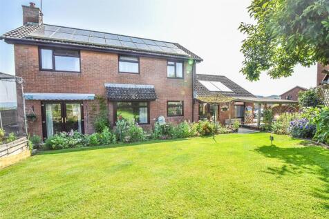 CP4_7311-2 rear view .jpg