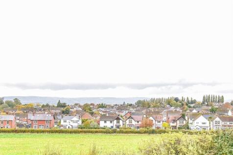 leaf ground view.jpg