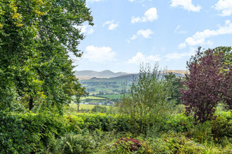 Views from Garden...