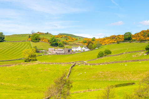 Yew Tree Farm 