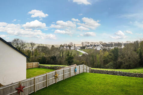 Views from the re...