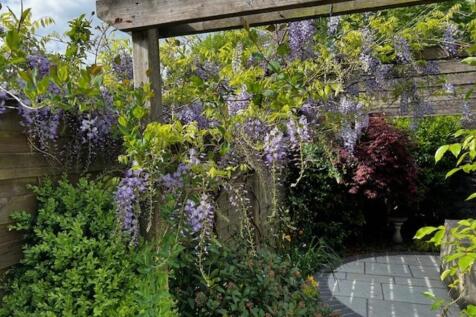 Garden (Vendor ph...