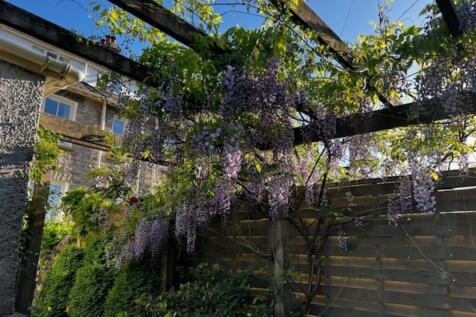 Garden (Vendor ph...