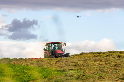 Country lifestyle...