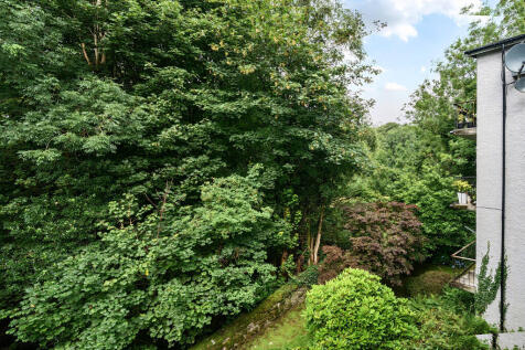 Communal Garden