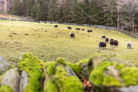 Open Countryside
