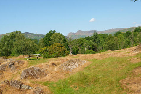 Communal Grounds