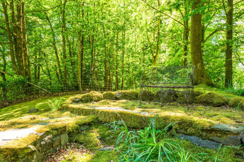 Woodland Garden -...