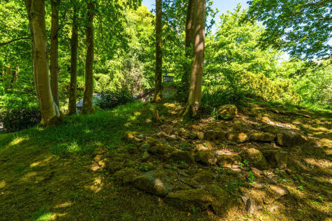 Woodland Garden
