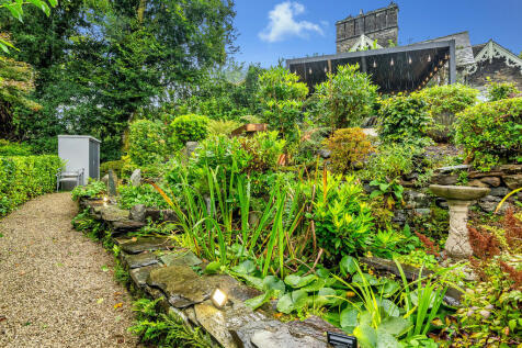 Natural Pond