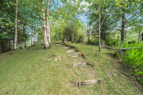 Woodland Garden