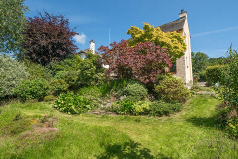 Garden and Pond