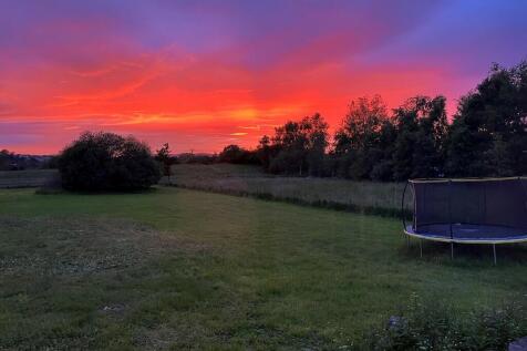 Vendor Sunset Pic...