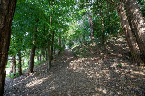 Woodland