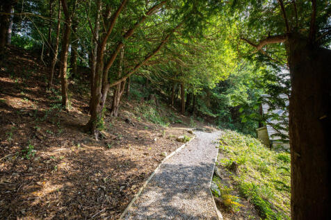 Woodland