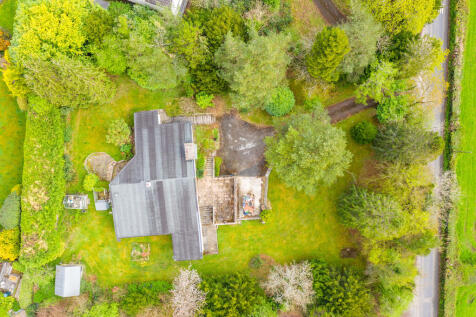Ariel View