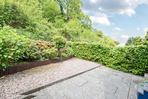 Rear Patio Garden