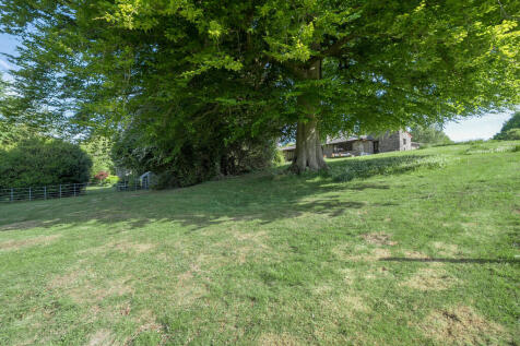 Surrounding Area