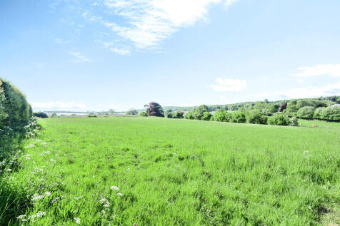 Surrounding Area