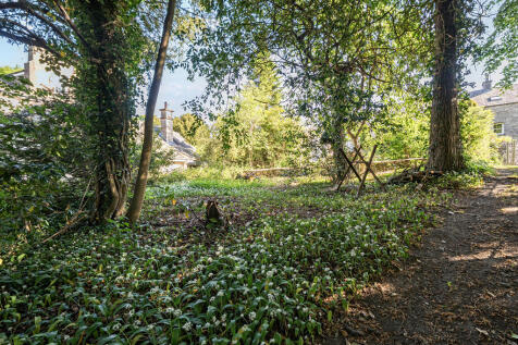 Woodland