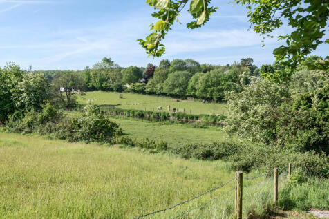 Surrounding Area