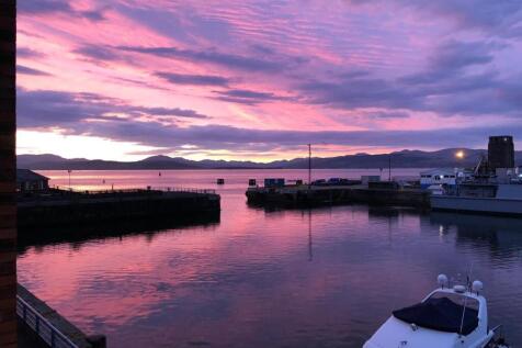 purple sky.jpg